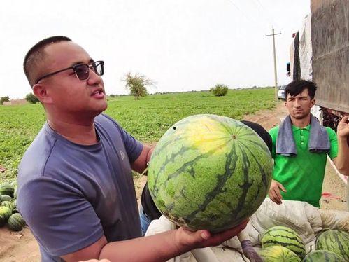 吃瓜娱乐图片大全大图,吃瓜娱乐图片大全大图揭秘  第3张